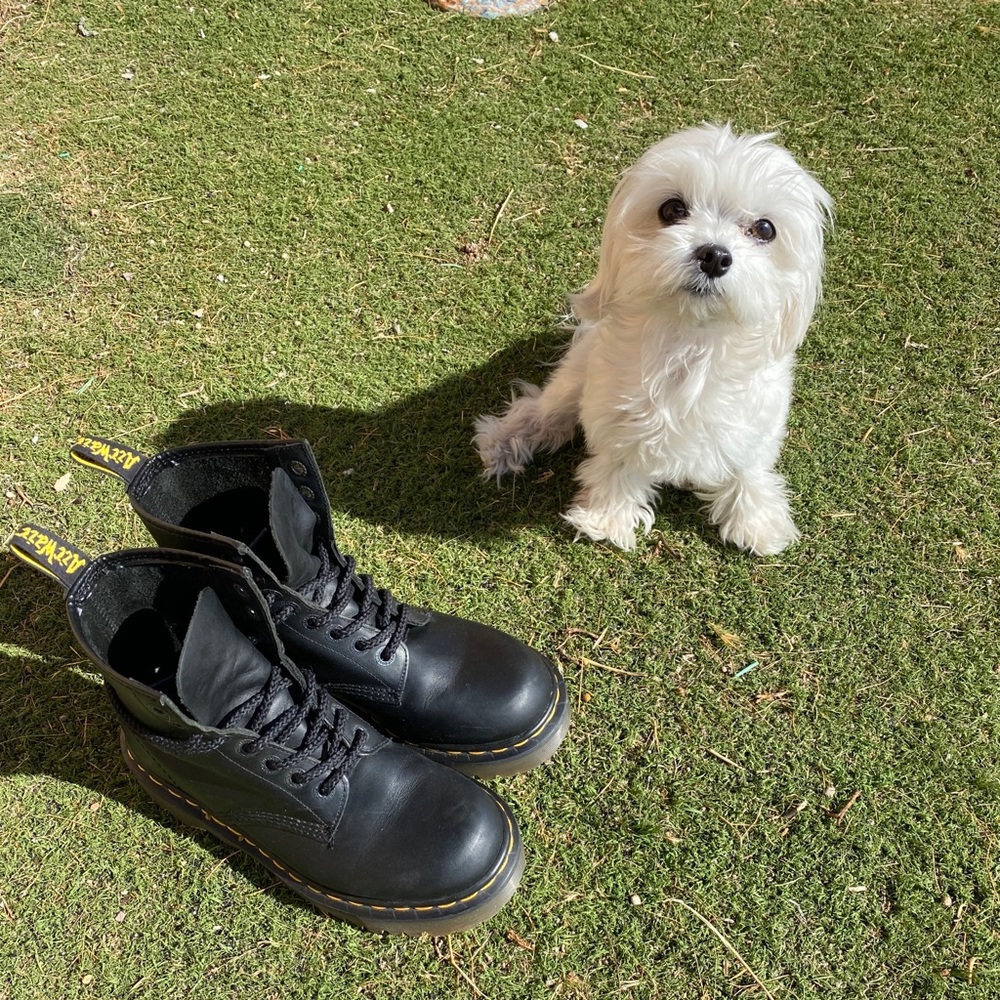 Dr Martens RARE 1460 PLATFORM BEX SOLE MIE boots - Picture 7 of 16